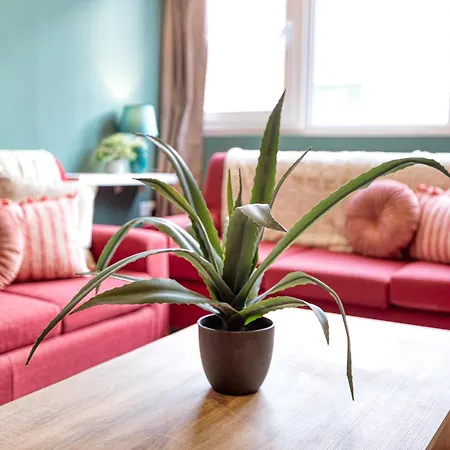 Paceville Penthouse + Terrace & Vibes